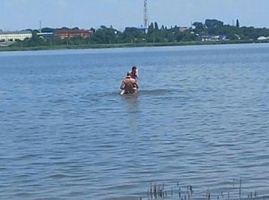 Множество людей стали свидетелями публичного секса на пляже в Буденновске