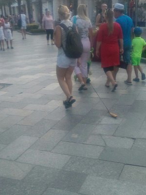 На набережной Ялты девушка на поводке выгуливала банан