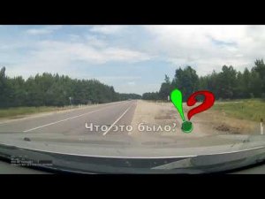 Мусорный пакет и перекресток: новая разводка от ГИБДД