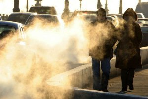 Власти Германии осудили тесты автоконцернов с выхлопными газами на людях и животных