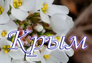 Крым красивая природа полуострова
