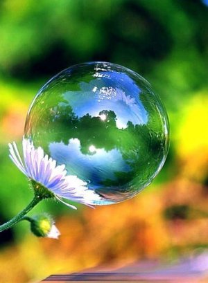 Ваш источник вдохновения.