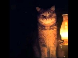 [Пятница] Интерсакс:  УПЦ причислила Аркадия Бабченко к лику святых