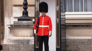 Не удержался: британский гвардеец жестко проучил назойливую туристку.