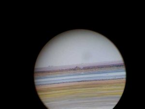 Чем всё-таки травят Армянск?