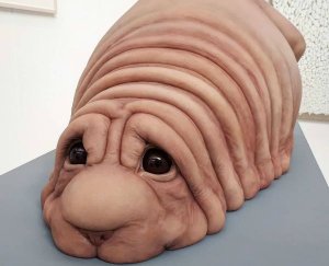 У Ждуна появился брат, а во Франции лошадь заявилась в бар… Видимо, за своим ковбоем!