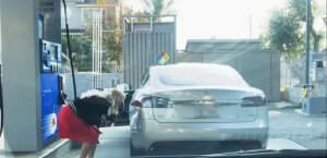 Утреннее: Блондинка пытается заправить Tesla бензином