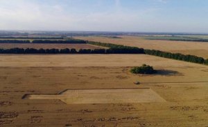 Украинский рекорд: Комбайнеры выкосили в поле под Киевом гигантскую бутылку