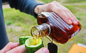 Во время роковой поездки в Томск Навальный много пил