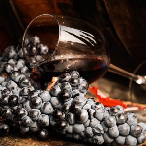 Во Франции обворовали винное заведение на 350 000 евро