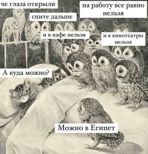 Ростовчане не унывают – по соцсетям бродят забавные анекдоты про локдаун. «Не сердитесь никогда, не ворчите никогда и других развеселить старайтесь!»