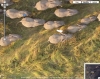 Слоны на Google Maps