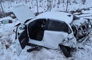 4 миллиметра жизни. Что забывают владельцы, готовясь к первым морозам