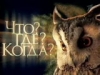 Проект Что? Где? Когда? в Азербайджане под угрозой