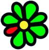 В России введут on-line ICQ-TV