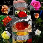 Не новостями едиными... Ибо актуально. С праздником вас, девушки!