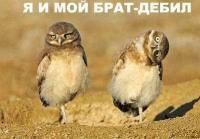 Я и мой брат-дебил