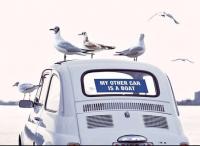 Без названия