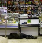 Ассортимент сразил наповал